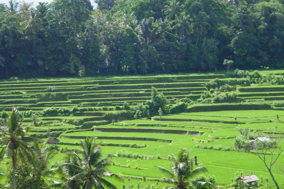 image_indonesiajakartabalilombok