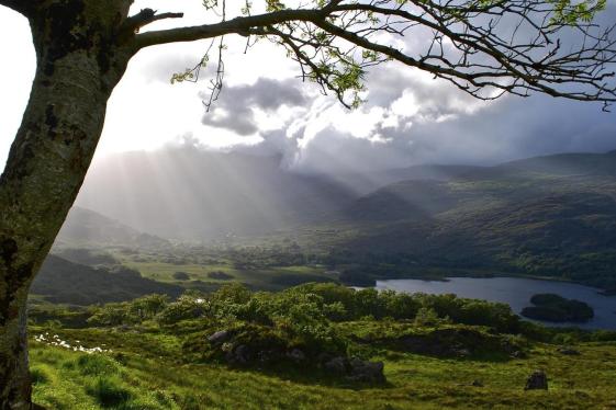 image_irelandcoastalhikesthebearapeninsulakillarneynationalpark