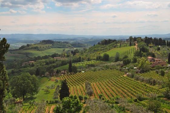 image_italytuscanyandumbriavineyardwalks