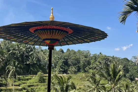 image_javabalisunrisessurfserenity