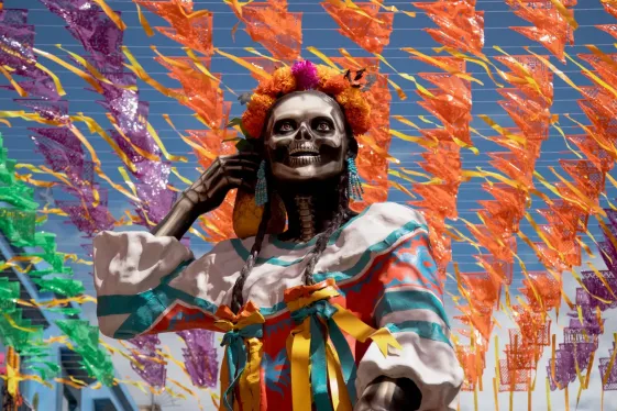 image_journeysdayofthedeadinsanmigueldeallende