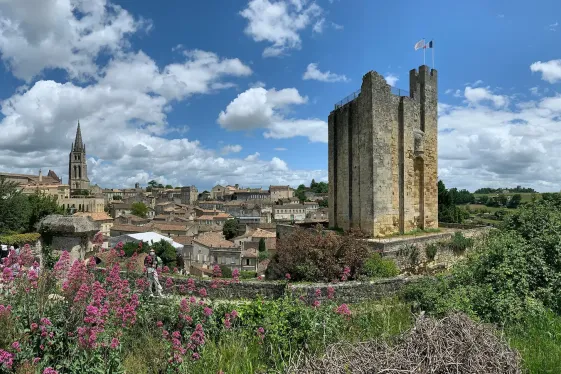 image_journeysdiscoversouthernfrance