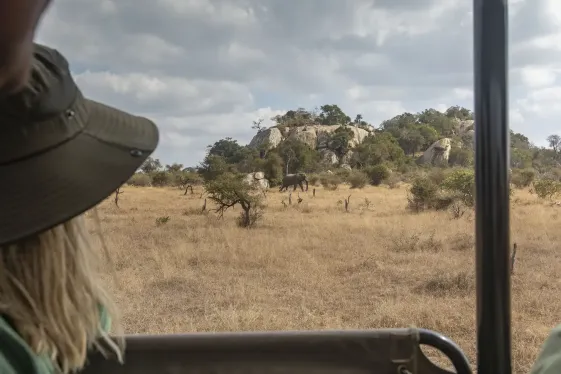 image_journeysexplorekrugernationalpark