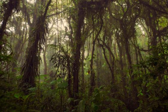 image_journeyshighlightsofcostarica