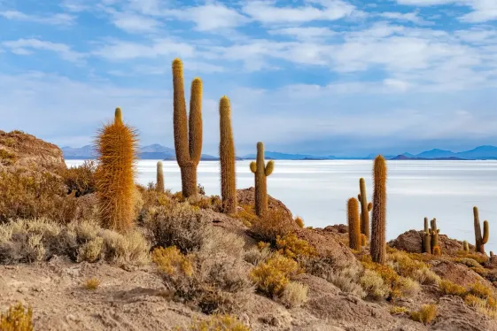 image_journeyshighlightsofsouthamerica