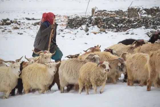 image_kashmirtoladakhwherevalleysmeetthesky