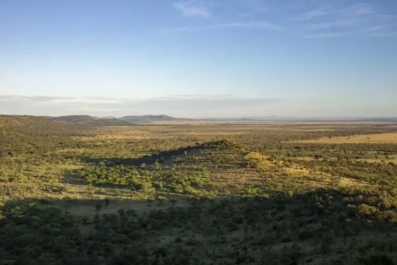 image_kenyaandtanzaniasafariadventurescoastaleastafrica