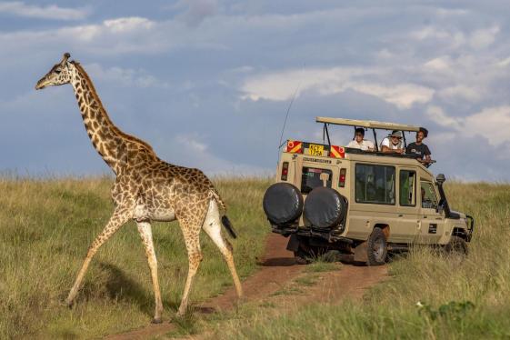 image_kenyamasaimaratsavocoastalwonders