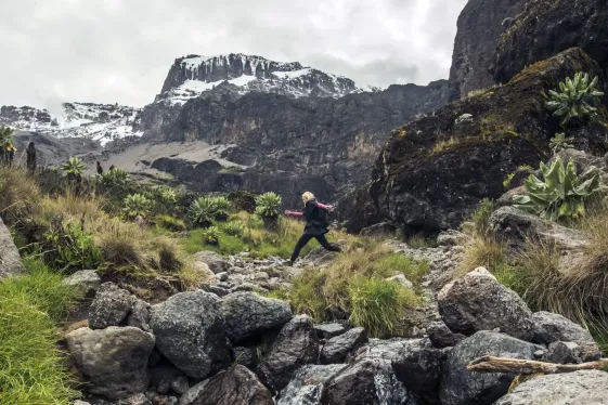 image_kilimanjaromachamerouteserengetiadventure
