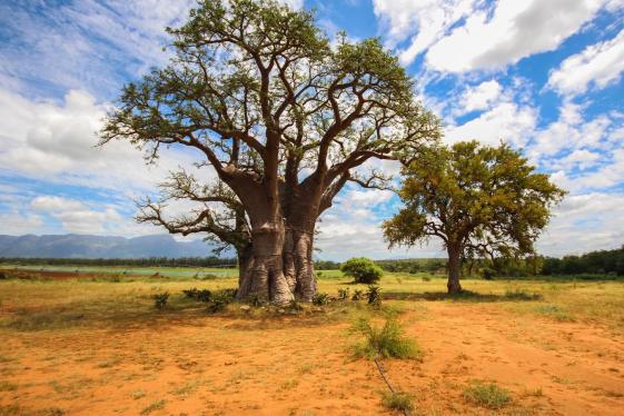 image_krugersafarithegardenroute