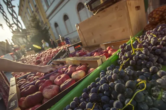 image_locallivingfrancetoulouse