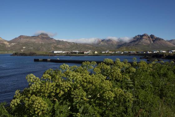 image_locallivingicelandbakkageri