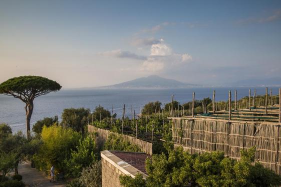 image_locallivingitalysorrento