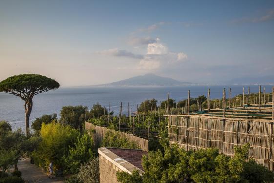 image_locallivingitalysorrento_7-days