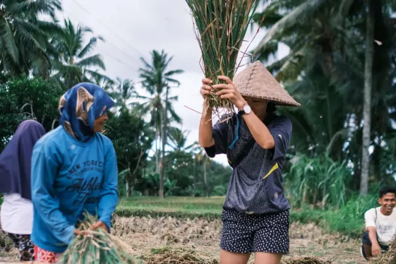 image_lombokgiliadventureculturepeaksparadise