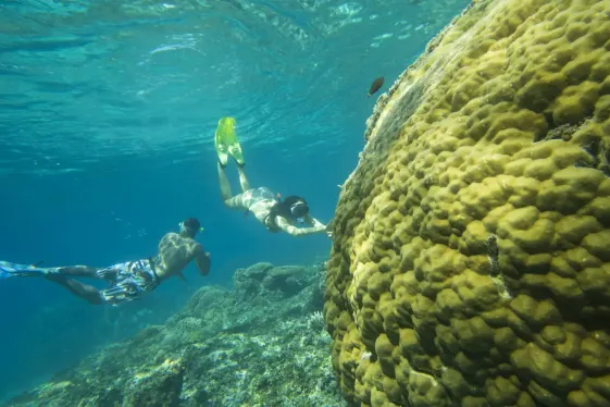 image_lomboktofloresthehiddenpath