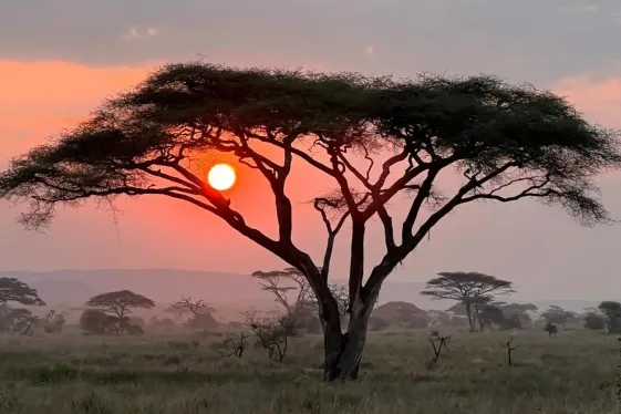 image_maasaimarasafarilegendarywildlifeculturalsafari