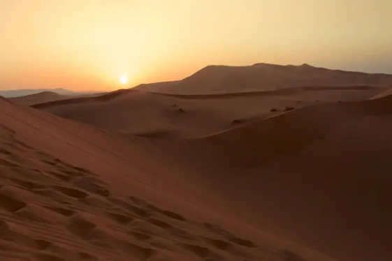 image_moroccansaharadiscovery