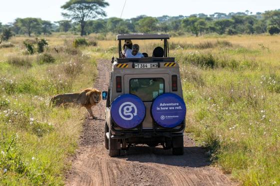 image_nairobitokampalaoverlandsafariparticipationcamping