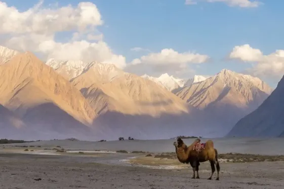 image_northernindiahimalayantrails