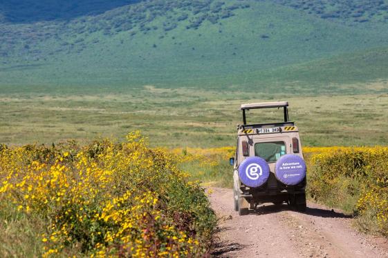 image_serengetitozanzibaroverlandsafariparticipationcamping