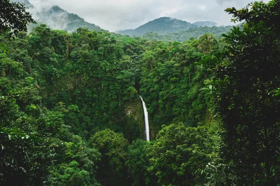 image_signaturecostaricasmonteverdearenalguanacaste