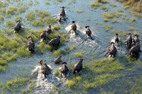 image_signaturekrugervictoriafallsbotswanasuntamedwonders