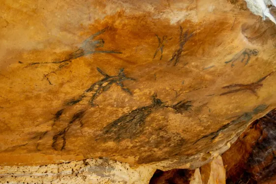 image_signaturenorthernspainthevineyardsofsouthwestfrance