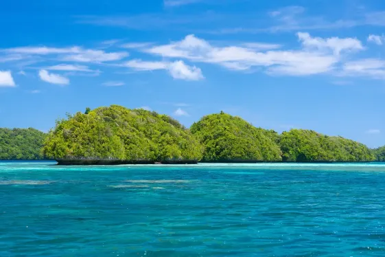 image_signaturepalausrockislandsunderwaterserengeti