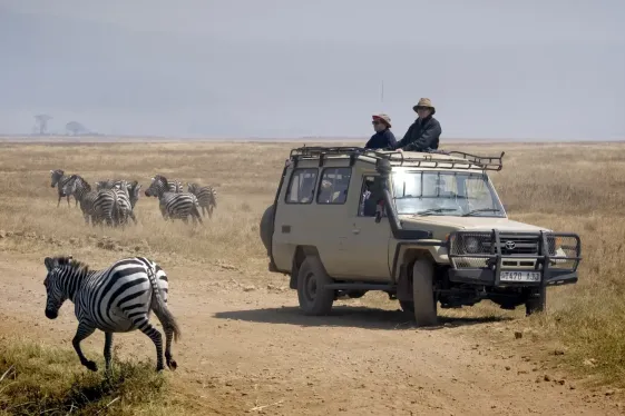 image_tanzaniauncoveredwildlifeoftheserengetingorongorocrater_6-days