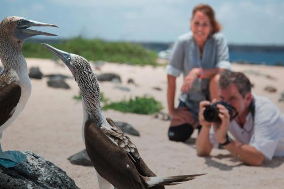 image_thegalpagoswildlifeofsantacruzisabelaislands