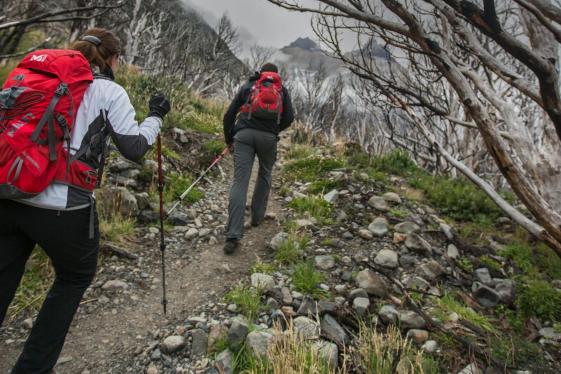 image_torresdelpaine-fullcircuittrek_11-days