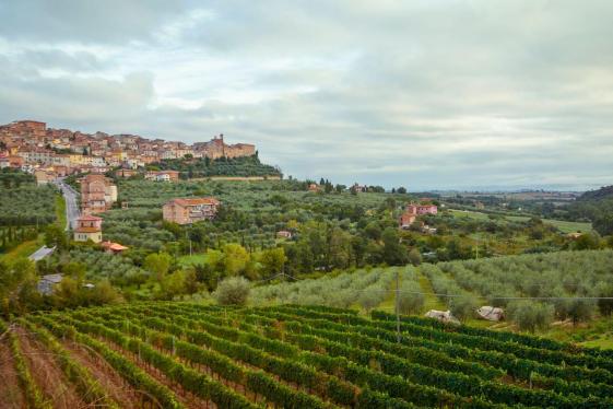 image_tuscanytocinqueterrewinesvillagesunforgettablewalks