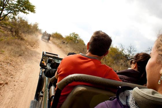 image_ultimateafricansafarikrugerhwangechobetheokavangodelta