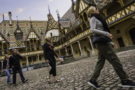 image_walkingthevineyardsofburgundy