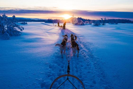 image_winterinfinlandlaplandnorthernlights