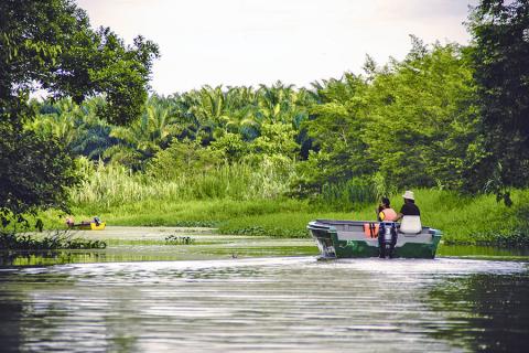 The Kinabatangan River boasts one of the highest concentrations of wildlife in the region