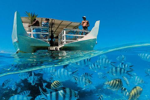 Snorkel and dive amongst amazing marine life on a Paul Gauguin Cruise | Photo credit: Paul Gauguin Cruises
