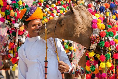 Experience the colourful Pushkar Camel Fair | Travel Nation