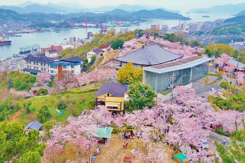By the end of March or the beginning of April, blossoming has spread to Kyoto and Tokyo