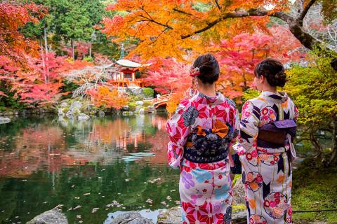 Visit stunning temples and gardens in historic Kyoto | Travel Nation