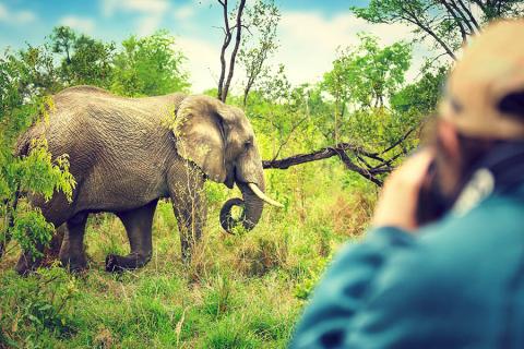 On safari in Kruger National Park, South Africa | Travel Nation