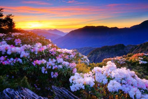 900x600-taiwan-taroko-national-park-sunrise-flowers