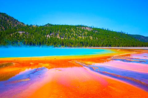 Visit Yellowstone's Grand Prismatic Spring | Travel Nation