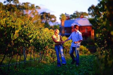 Margaret River is home to over 120 wine producers
