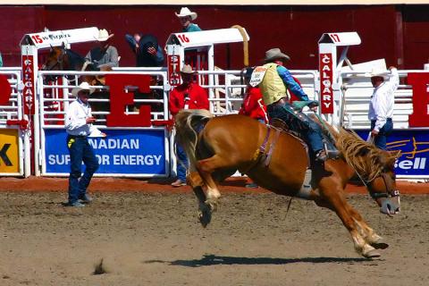 Calgary Stampede takes place every year for 10 days in July