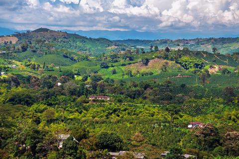 Hike in the hills, visit local coffee farms and unwind