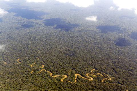 Amazon rainforest | Ecuador
