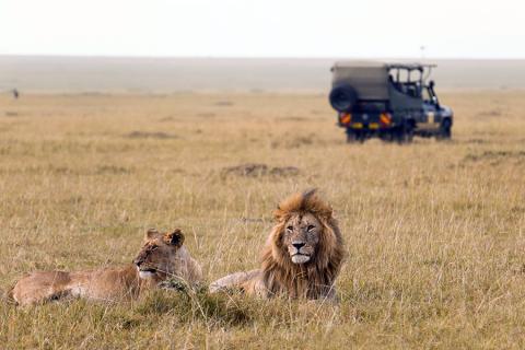 Spot the "Big 5" in the Maasai Mara