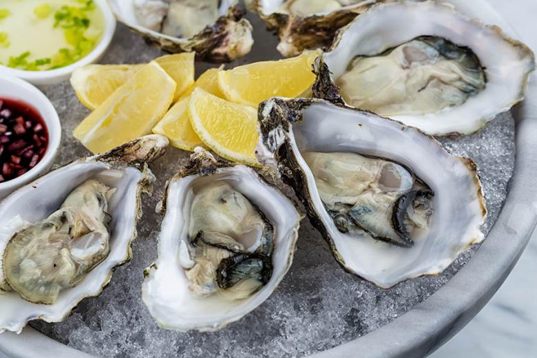 Harvest fresh oysters in South Australia | Travel Nation